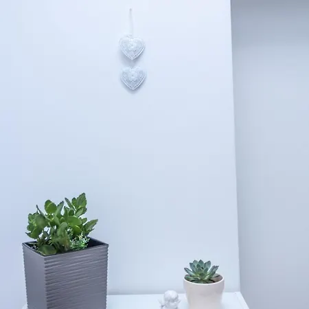 Apartment Anelli